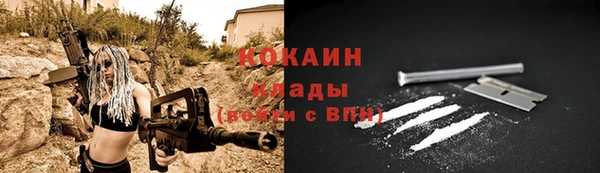 прущие крисы Алзамай