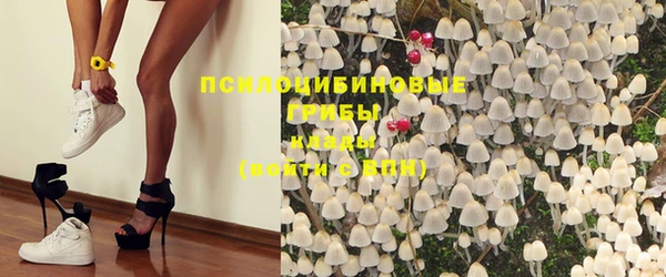 мдпв Абаза