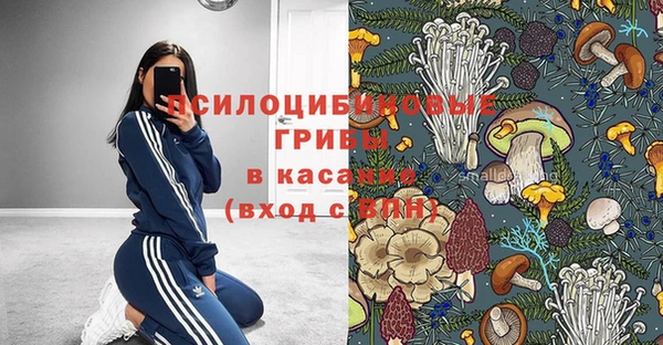 альфа пвп Алексеевка