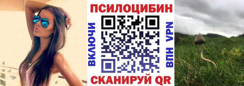 Псилоцибиновые грибы MAGIC MUSHROOMS  Заозёрный 